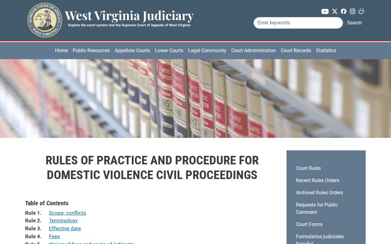 West Virginia domestic violence rules affecting civil docket access